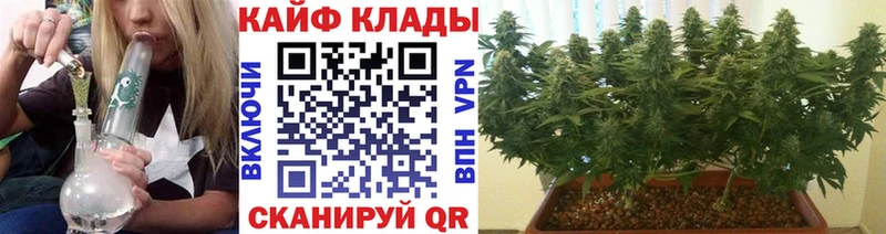 Как найти наркотики Ростов Бутират Псилоцибиновые грибы Амфетамин Cocaine Марихуана МЕФ A-PVP