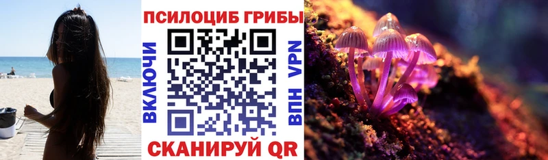 наркошоп Ростов МЕГА вход Псилоцибиновые грибы ЛСД